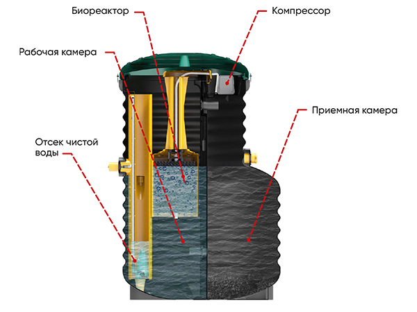 3 (12)_600.jpg 3 (12)_600.jpg